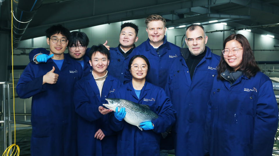 AKVA group_successful first harvest of Atlantic Salmon in China